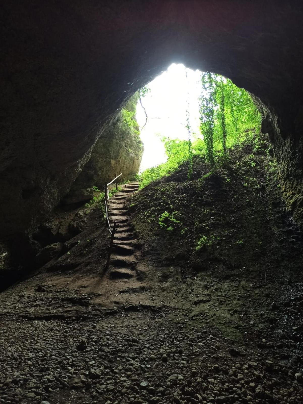 Sulla Dieci Volpago del Montello Buitenkant foto
